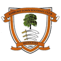 đội bóng Ashford Town (Middlesex)