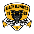 Black Leopards