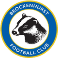 đội bóng Brockenhurst