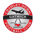 đội bóng Crawley Down Gatwick