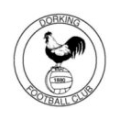 đội bóng Dorking Wanderers