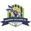 đội bóng Marumo Gallants FC