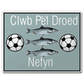 đội bóng Nefyn United