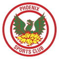 đội bóng Phoenix Sports