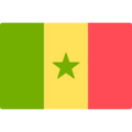 đội bóng Senegal